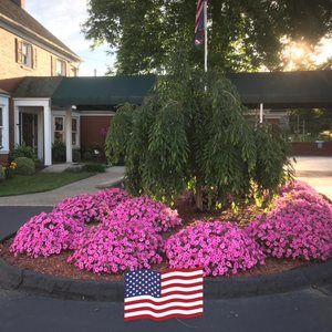 Meet your Posher, Edith